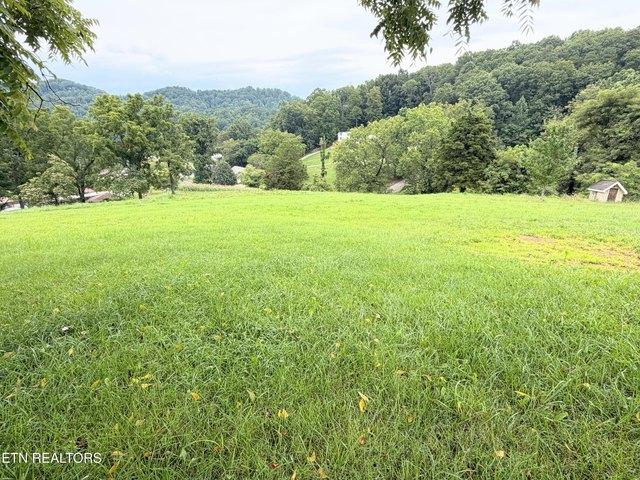 Land for sale in Tennessee
