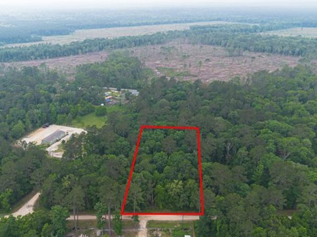 Land for sale in Shepherd, Texas