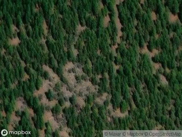 Land for sale in Loyalton, California