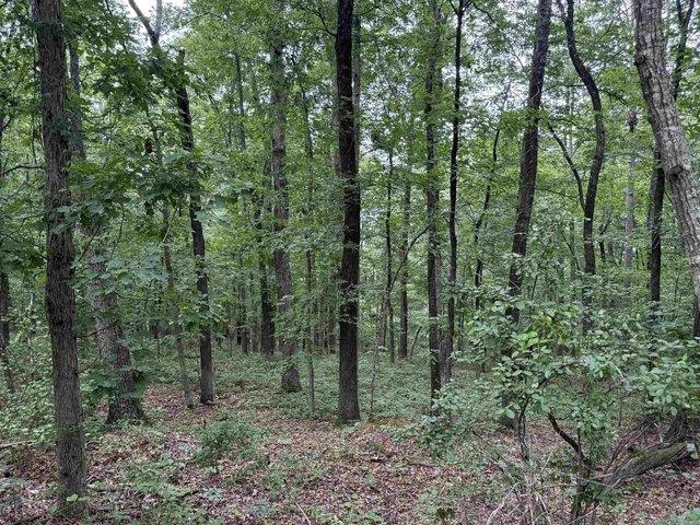 Land for sale in Ark