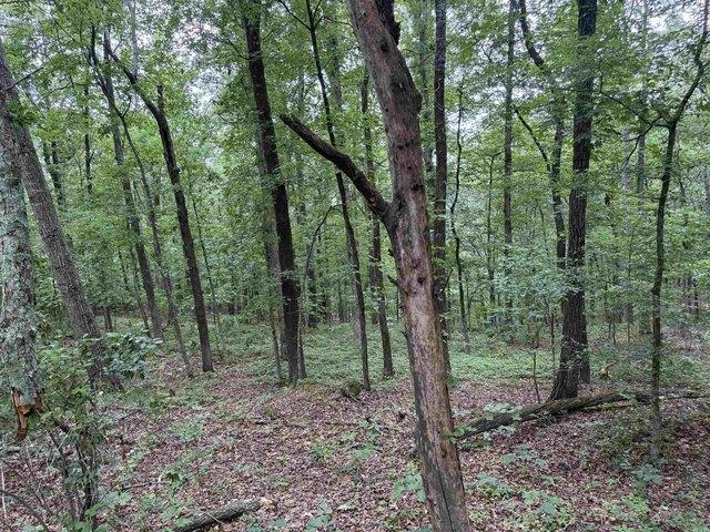 Land for sale in Ark