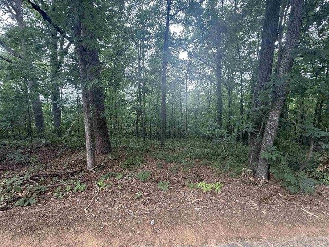 Land for sale in Ark
