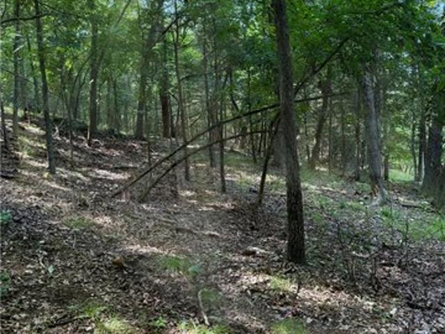 Land for sale in Garfield, Benton County