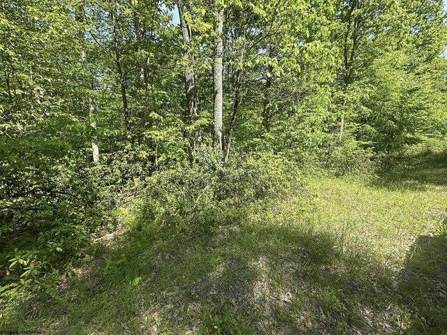 Land for sale in Terra Alta, West Virginia