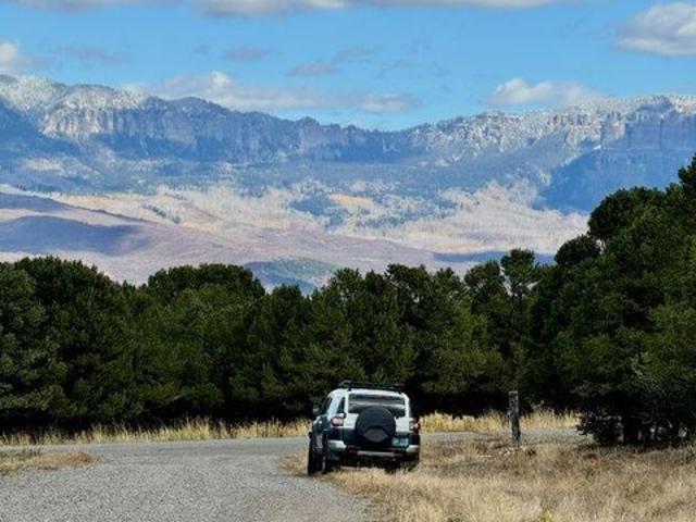 Land for sale in Ridgway, Colorado