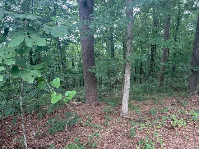 Land for sale in Ark