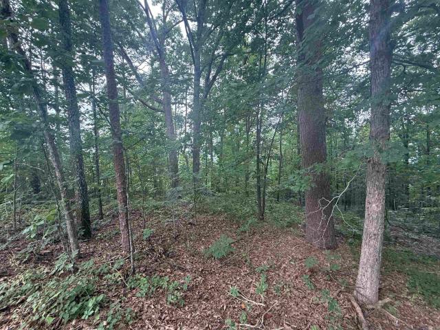 Land for sale in Ark