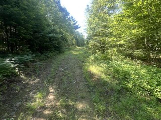 Land for sale in Lagrange, Maine