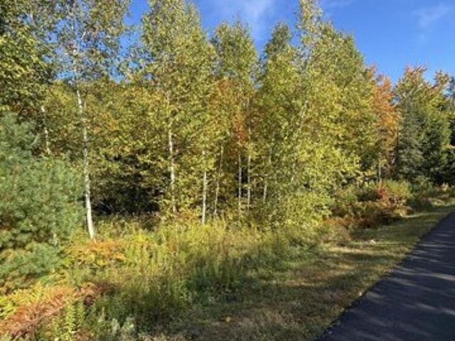 Land for sale in Etna, Penobscot County