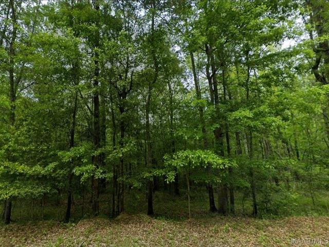 Land for sale in Tuskegee, Alabama