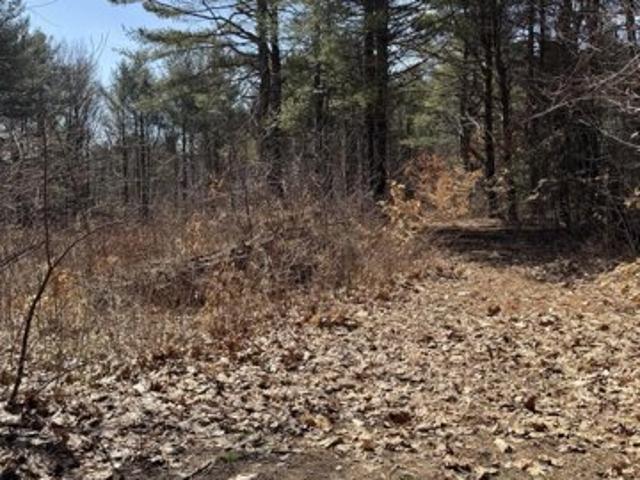 Land for sale in Casco Land for sale in Casco