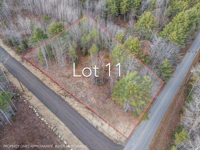Land for sale in Waldo, Maine