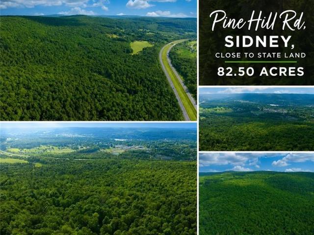 Land for sale in Sidney, New York