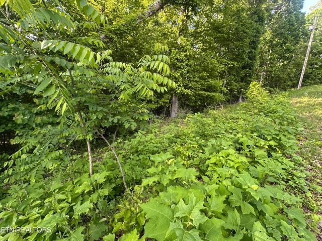 Land for sale in Tennessee
