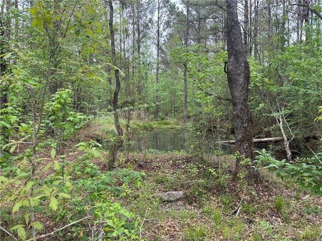 Land for sale in Covington, Louisiana
