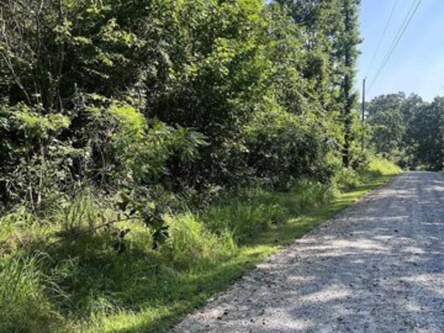 Land for sale in Fair Play