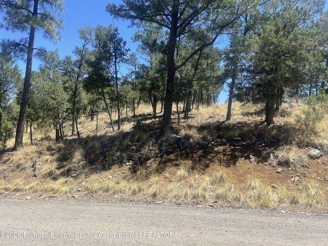 Land for sale in New Mexico