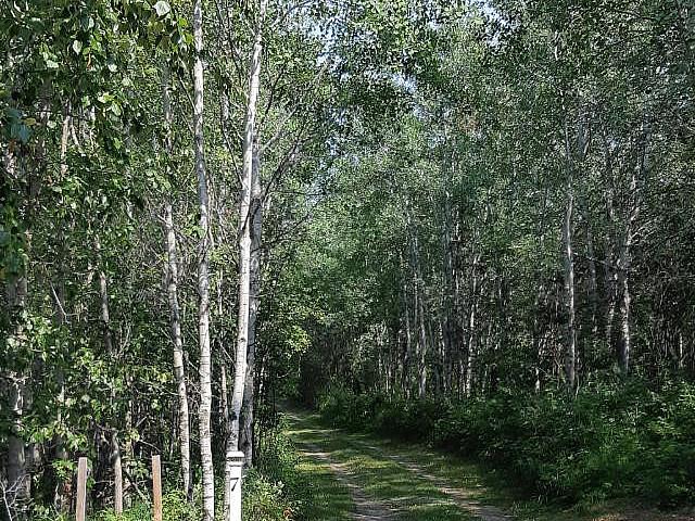 Land for sale in Red Deer, Alberta