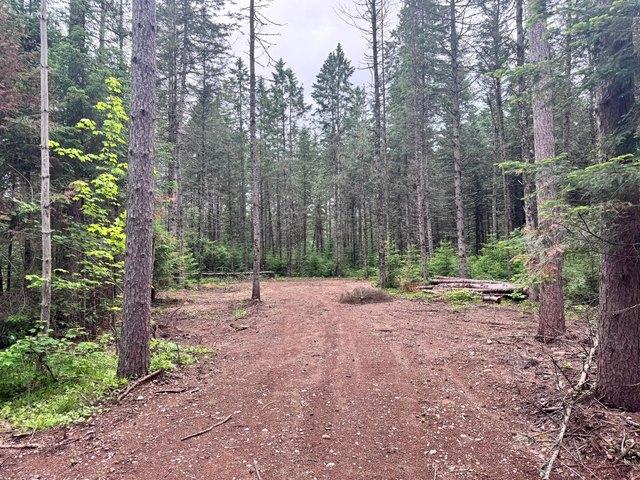 Land for sale in Minocqua, Wisconsin