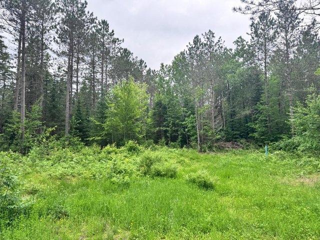Land for sale in Minocqua, Wisconsin