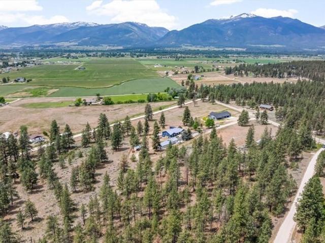 House for sale in Stevensville