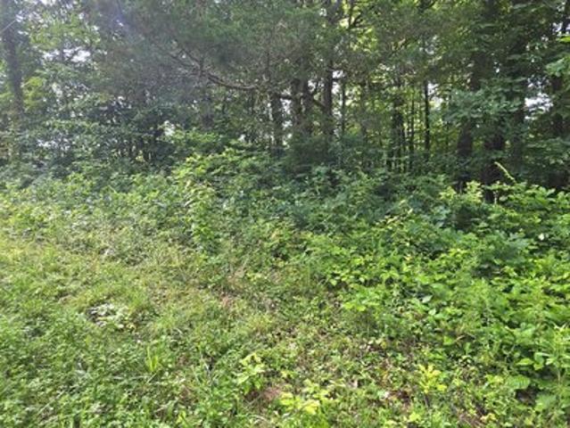Land for sale in Tennessee