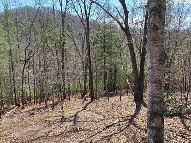 Land for sale in Warne, North Carolina