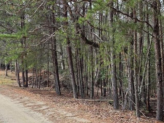 Land for sale in Warne, North Carolina