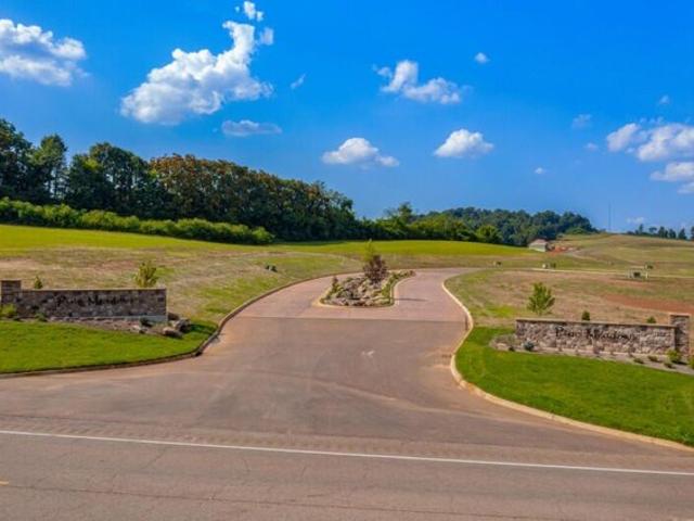 Land for sale in White Pine