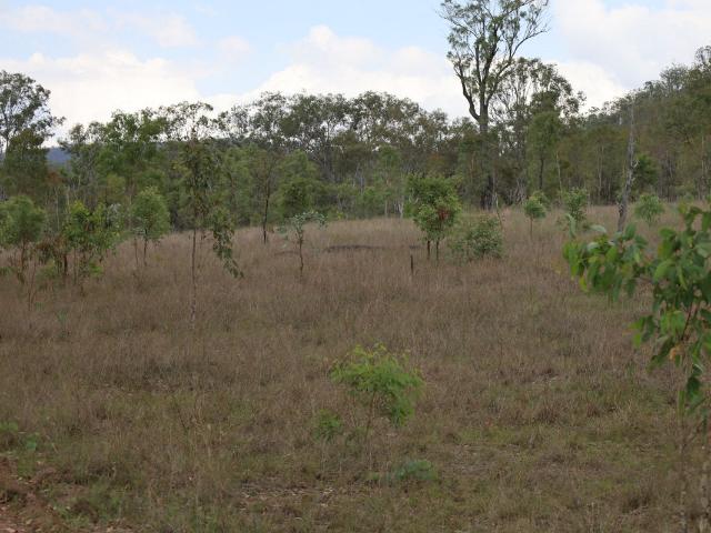 Property for sale in Monto, Queensland
