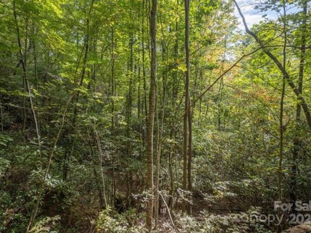 Land for sale in Transylvania, North Carolina