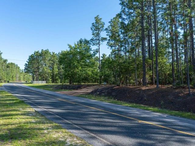 Land for sale in Gaston, Lexington County