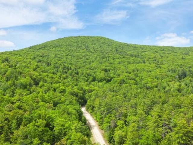 Land for sale in New Hampshire