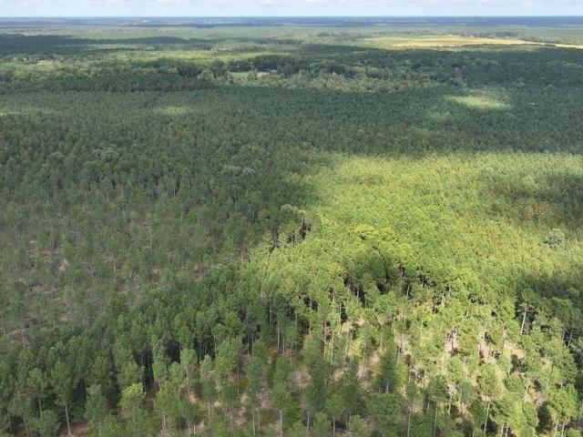 Land for sale in Princess Anne, Maryland