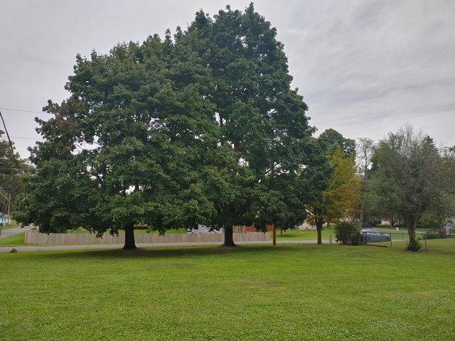 Land for sale in Genoa City, Wisconsin