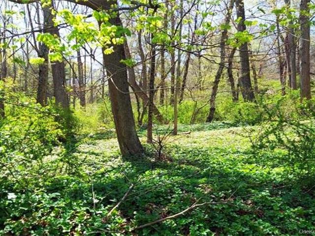Land for sale in Southfields, New York