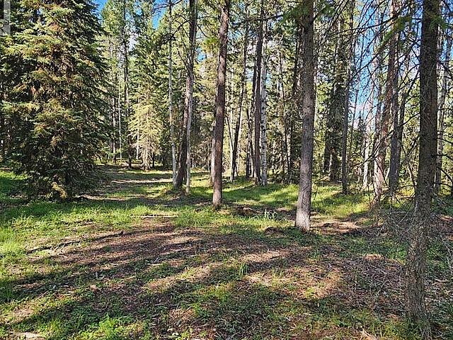 Land for sale in Alberta