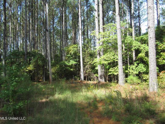 Land for sale in Iuka, Mississippi