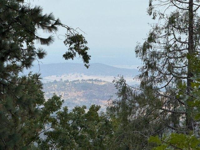 Land for sale in Brownsville, California