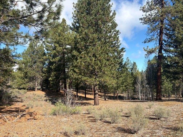 Land for sale in Oregonia