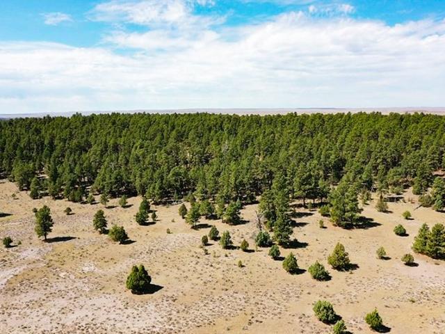Land for sale in Wyoming