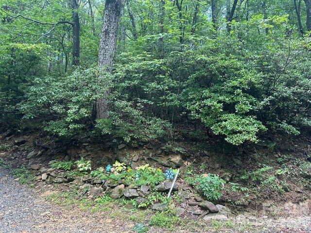 Land for sale in Hendersonville, North Carolina