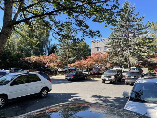Apartment for rent in Nanaimo, British Columbia