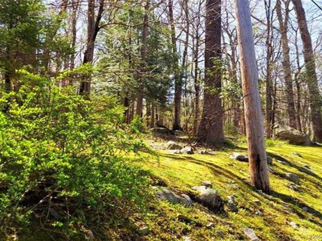 Land for sale in Southfields, New York