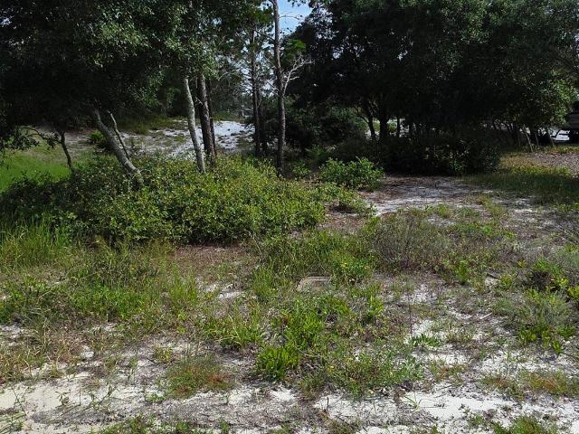 Land for sale in Orange Beach, Alabama