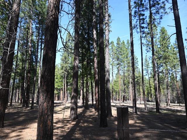 Land for sale in Modoc, California