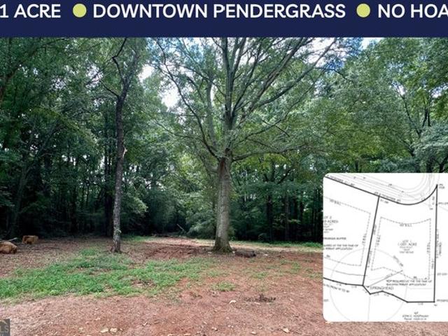 Land for sale in Pendergrass, Georgia