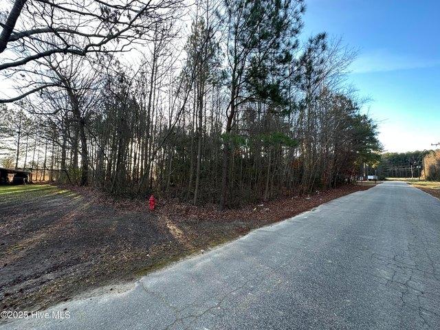 Land for sale in Conway, North Carolina