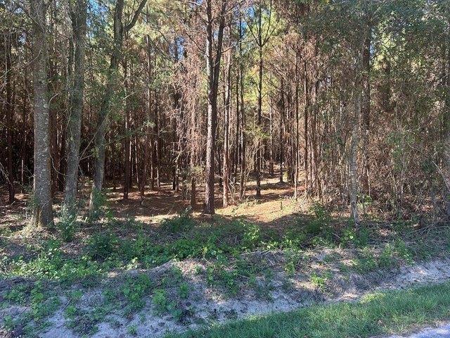 Farm for sale in Laurel, Mississippi
