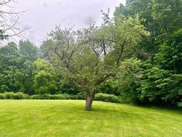 Land for sale in Dover-Foxcroft, Piscataquis County